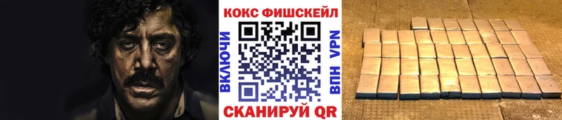 где купить   Нолинск  КОКАИН FishScale 